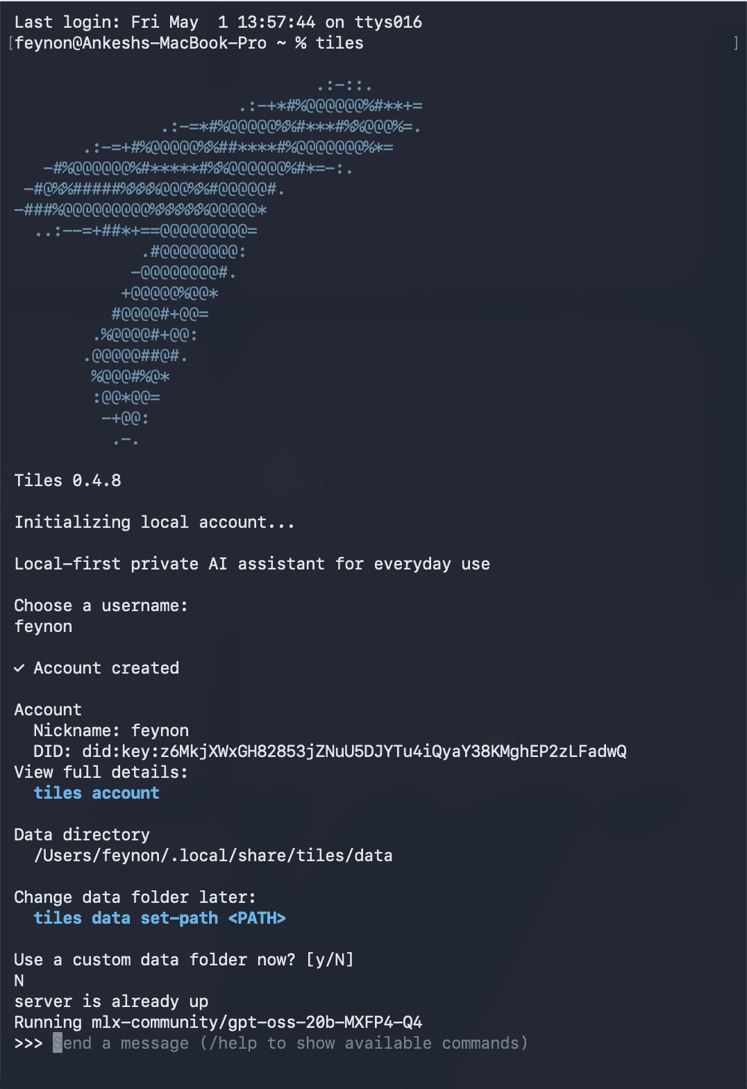 Tiles CLI onboarding screen in the terminal