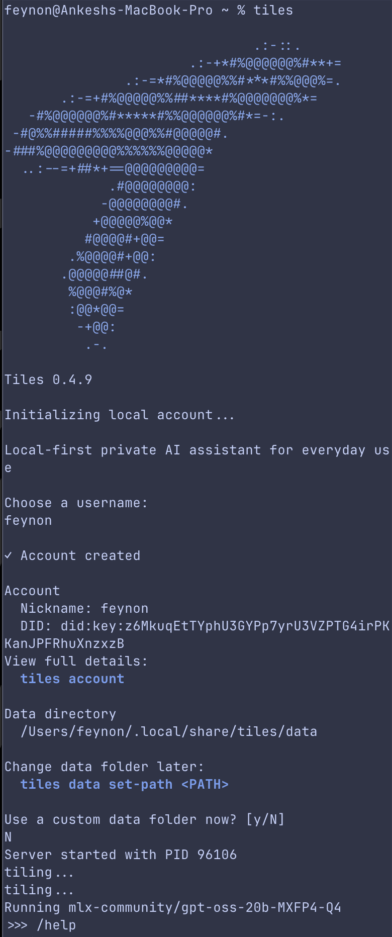 Tiles CLI onboarding screen in the terminal, dark theme