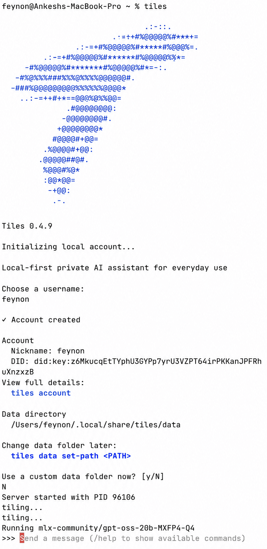 Tiles CLI onboarding screen in the terminal, light theme