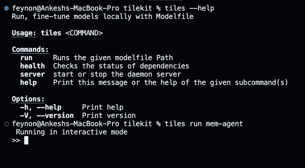 CLI terminal showing memory-aware chat session